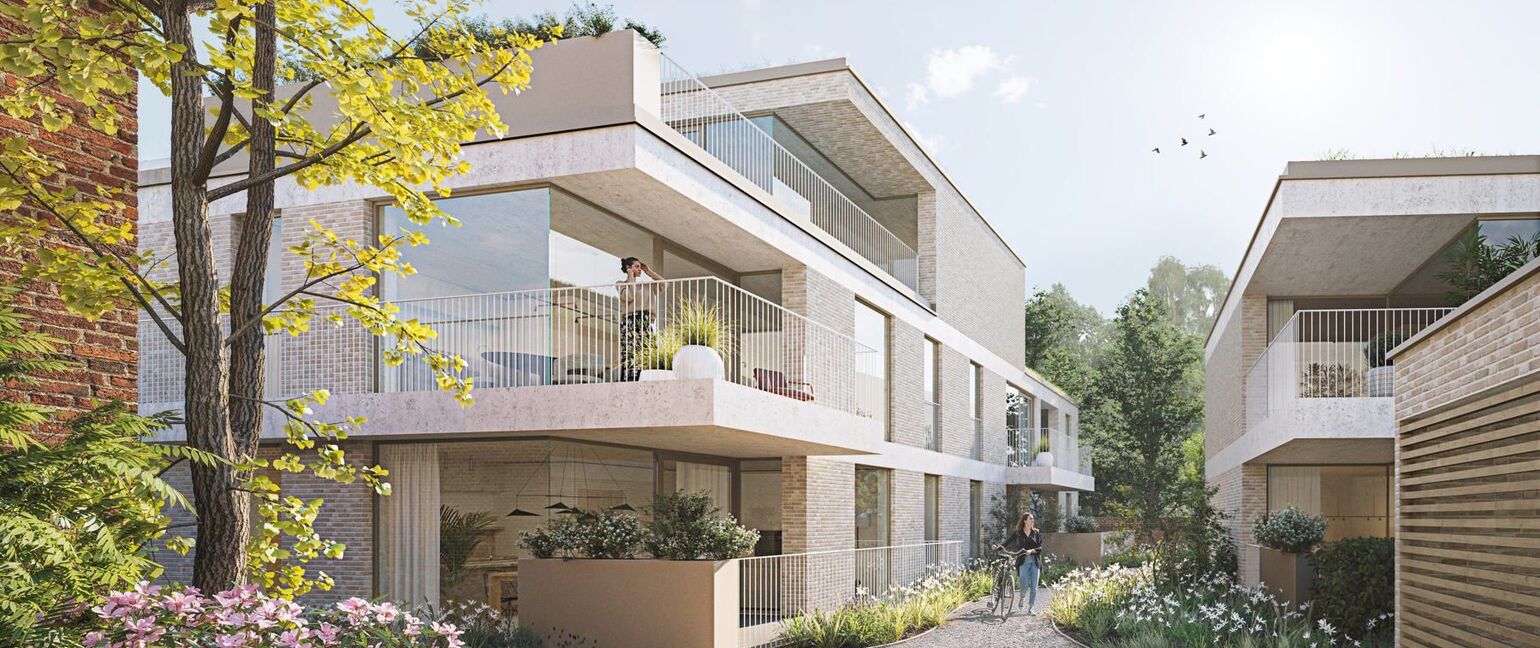 De Bongert in Maaseik