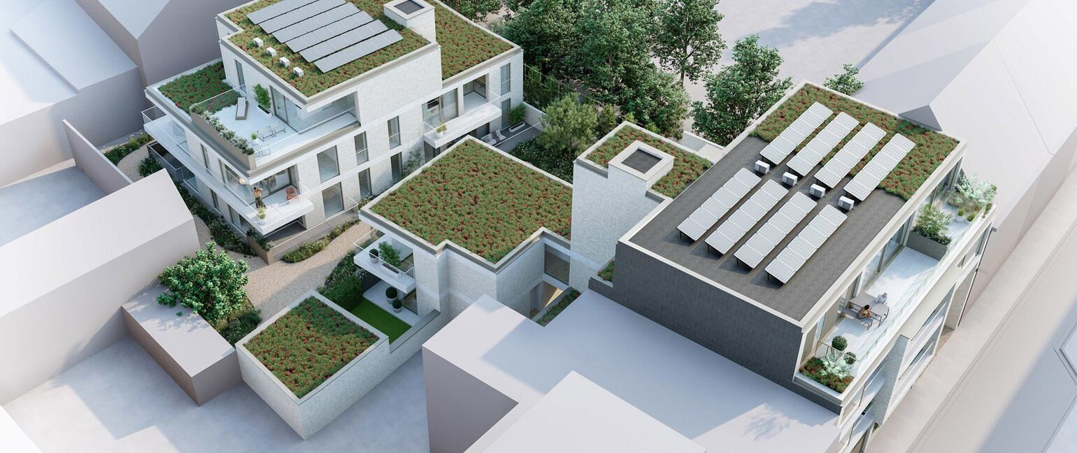 De Bongert in Maaseik