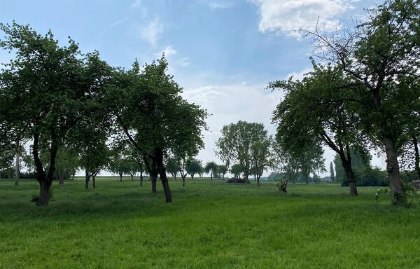 Bouwgrond te koop in Gingelom