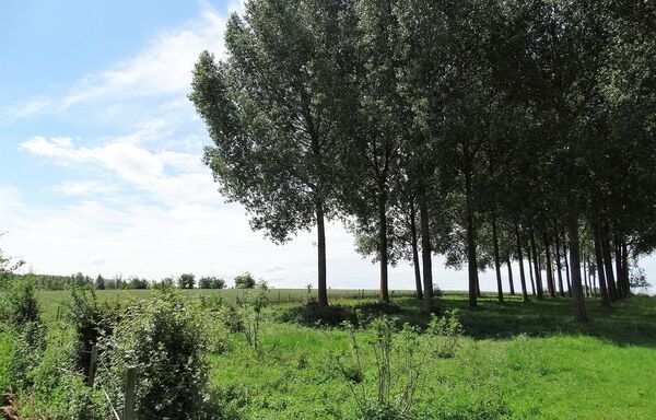 Bouwgrond te koop in Heers