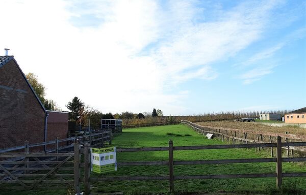 Bouwgrond te koop in Sint-Truiden