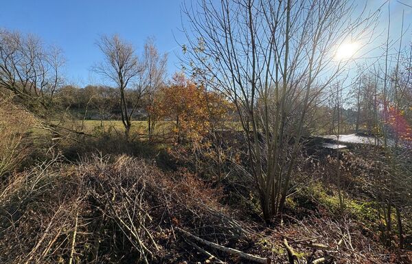 Bouwgrond te koop in Tongeren