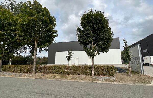 Industrieel gebouw te huur in Maaseik