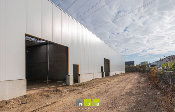 Industrieel gebouw te koop in Maaseik