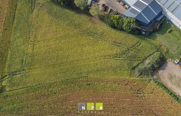 Landbouwgrond te koop in Dilsen-Stokkem