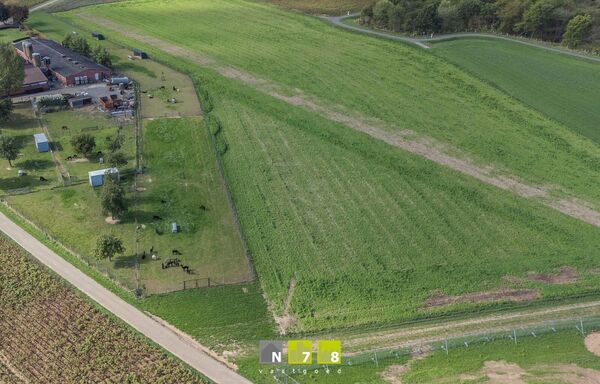 Landbouwgrond te koop in Maasmechelen