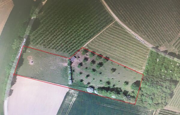 Weide te koop in Sint-Truiden