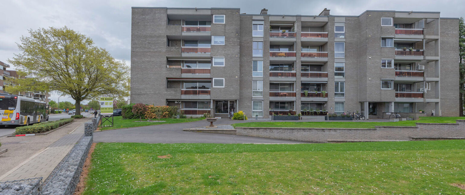 Appartement te koop in Maaseik