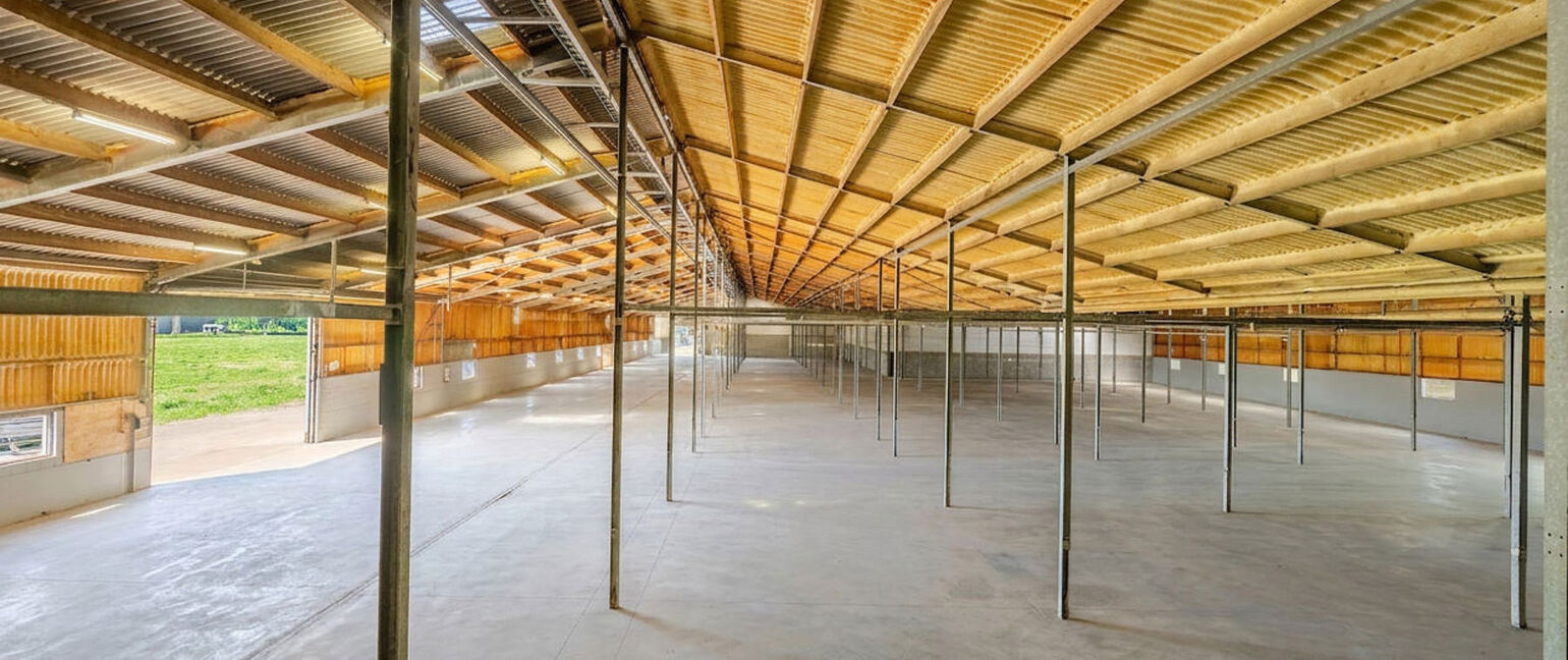 Bedrijfsgebouw te huur in Bree