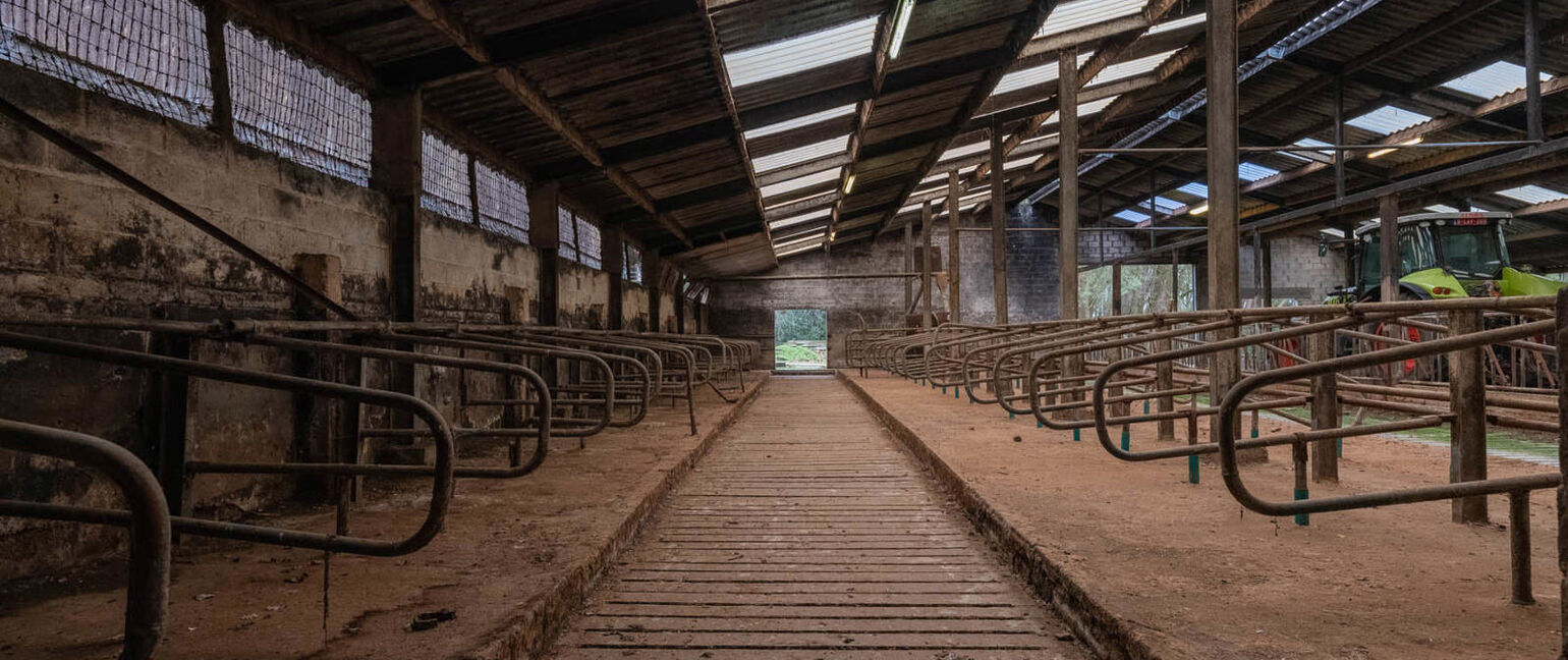 Boerderij te koop in As