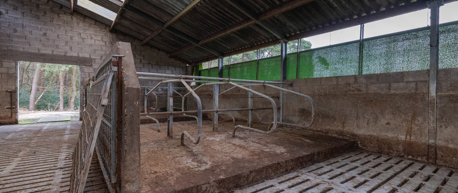 Boerderij te koop in As