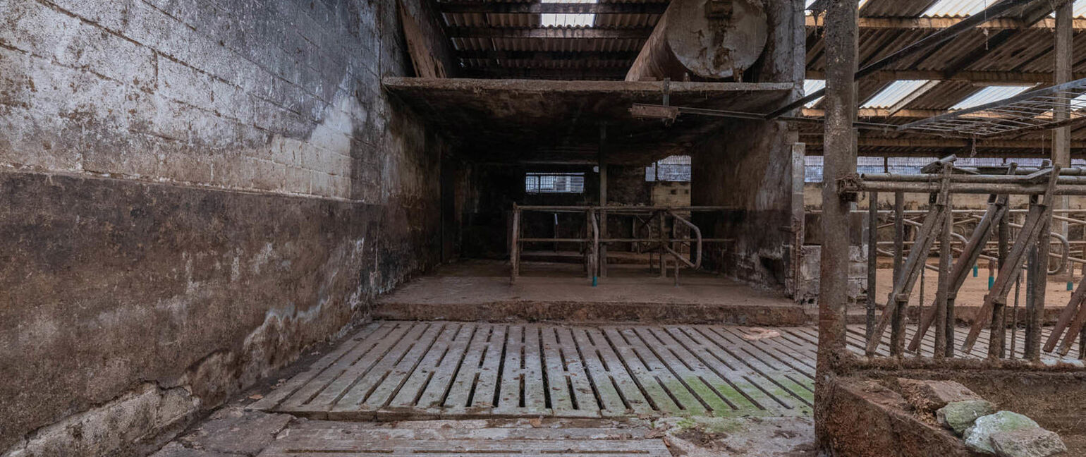 Boerderij te koop in As