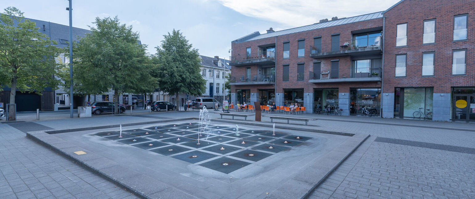 Duplex te koop in Maaseik
