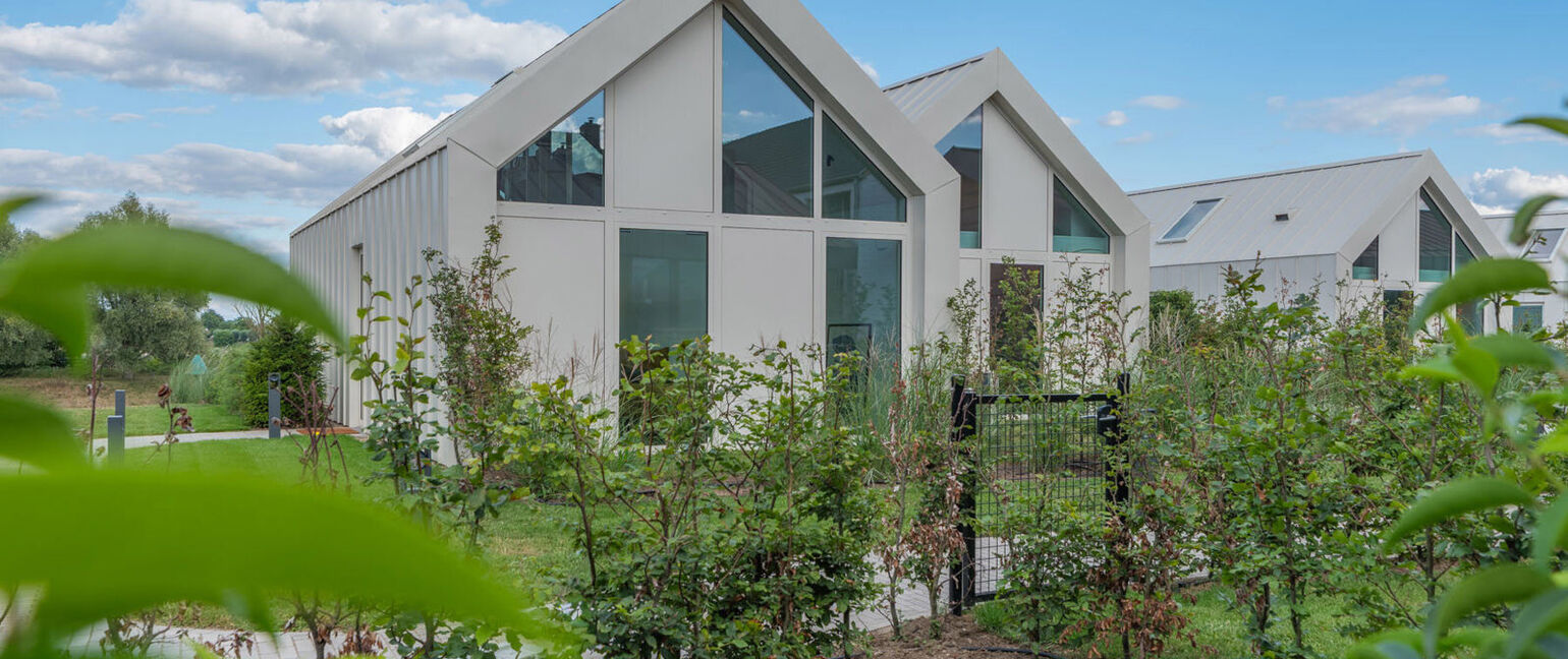 Huis te koop in Maaseik