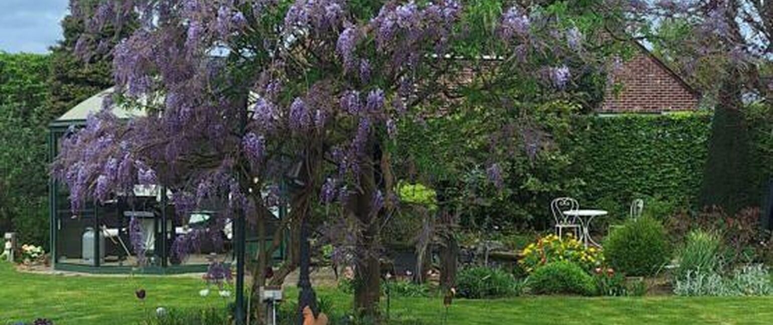 Huis te koop in Maaseik