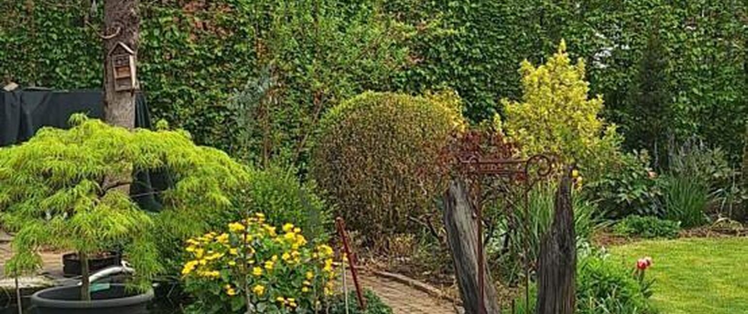 Huis te koop in Maaseik