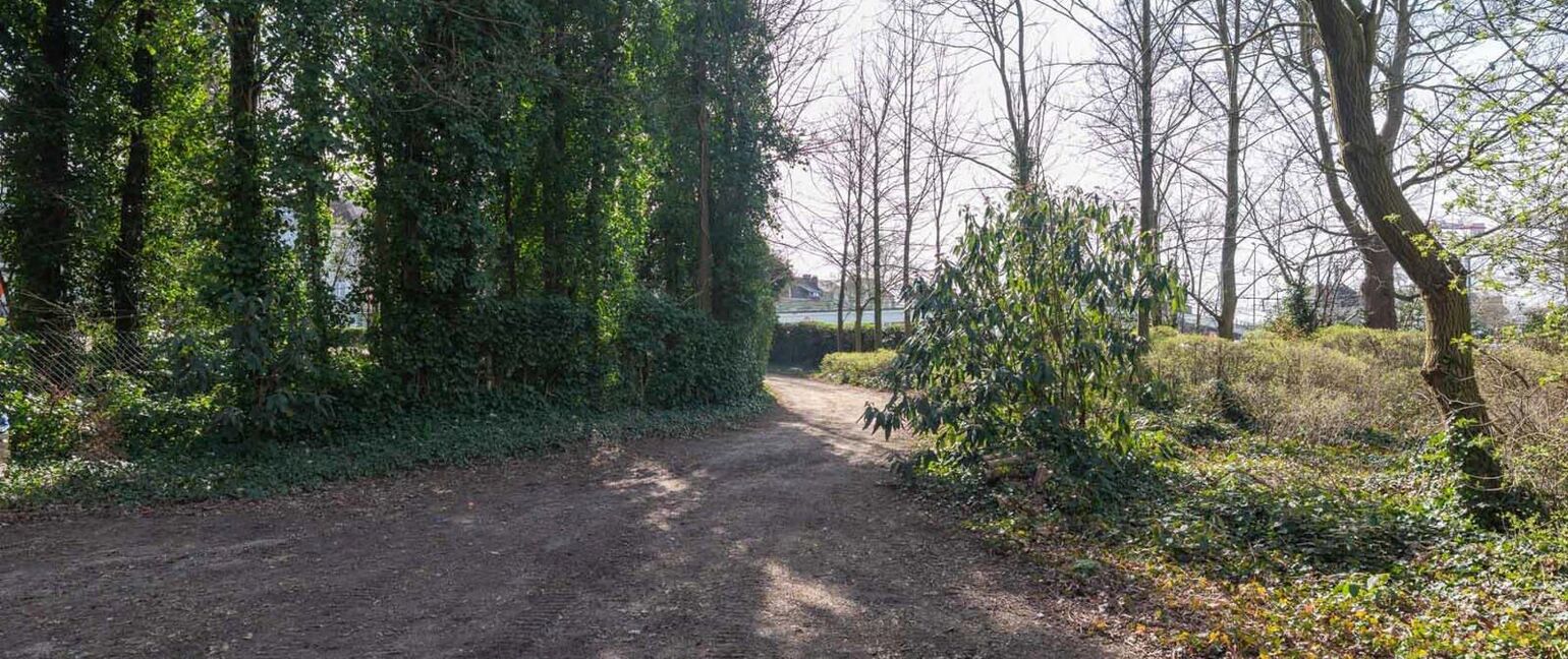 Individuele handelszaak te koop in Hasselt