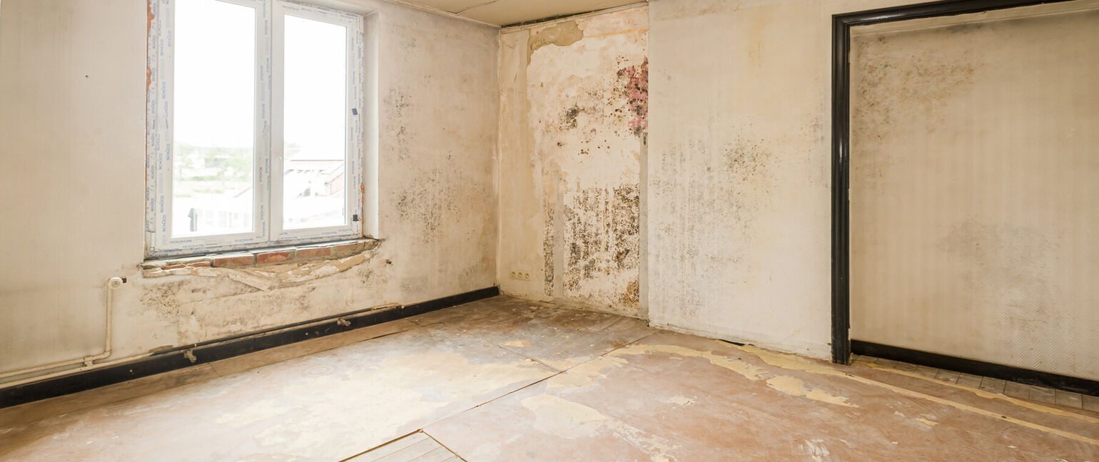 Individuele handelszaak te koop in Sint-Truiden