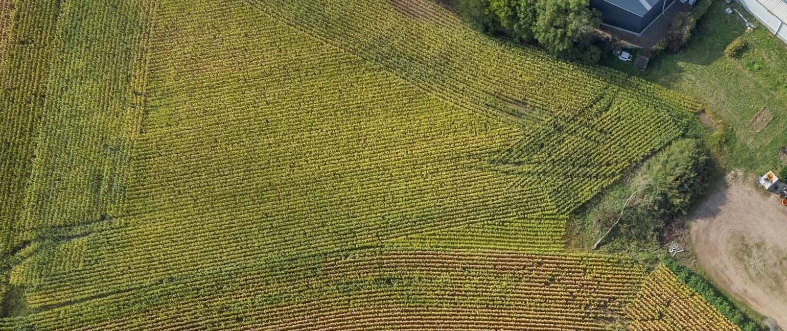 Landbouwgrond te koop in Dilsen-Stokkem