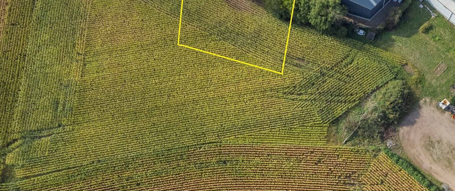 Landbouwgrond te koop in Dilsen-Stokkem