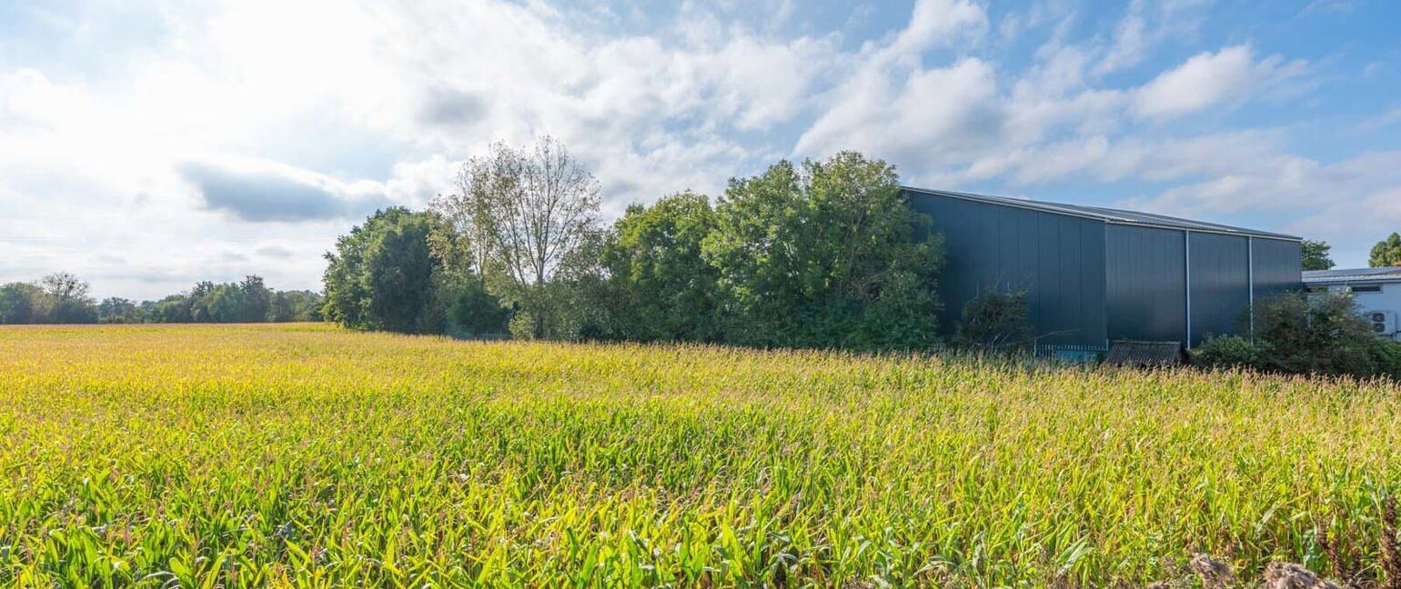 Landbouwgrond te koop in Dilsen-Stokkem